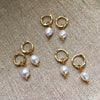 Pearl Drop Earrings in Gold